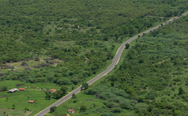 Puttalam Anuradhapura road (A12)