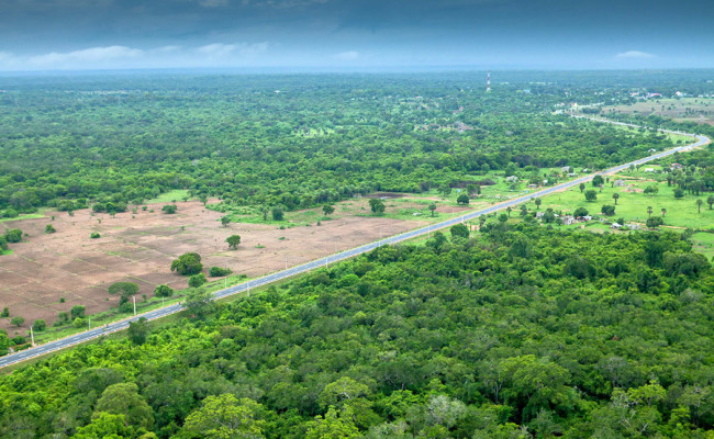 Mankulam Oddusudan road (A34)