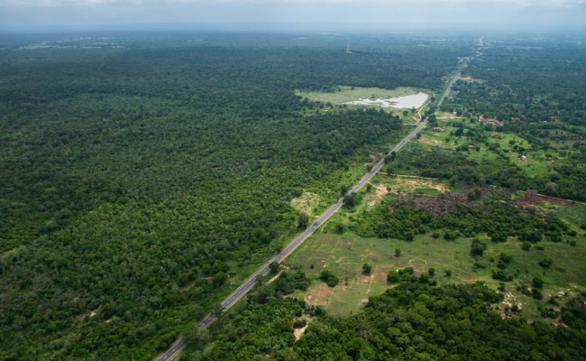 Mankulam Oddusudan road (A34)