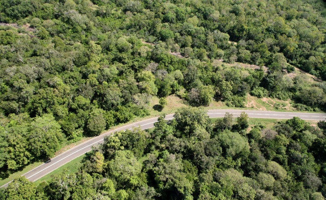 Siyambalanduwa Pottuvil Akkaraipattu road (A4)